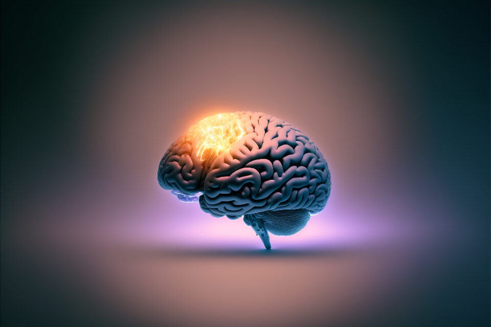 EU AI Act Transparency Rules Are Live: What Changes on Your Website